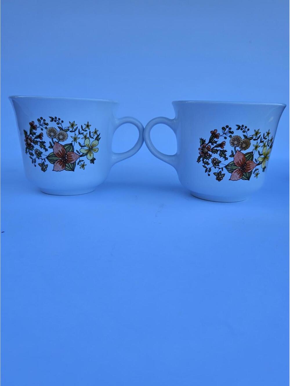 Corelle by Corning “Indian Summer” Mugs – Set of 2 - Made in USA (1977-1985)